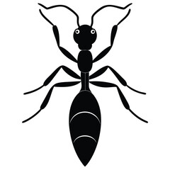 unique dragon ant concept