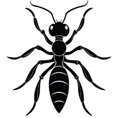 realistic dragon ant design