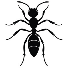 dragon ant illustration isolated