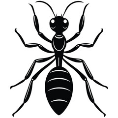 dragon ant vector graphic