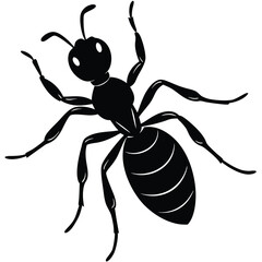 dragon ant silhouette vector