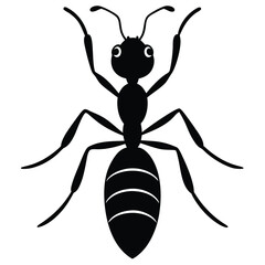dragon ant creature artwork