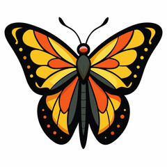 Colorful Butterfly Drawing