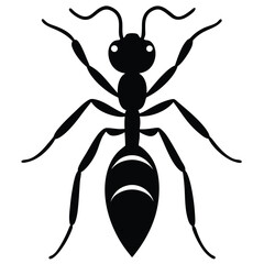 dragon ant creative graphic