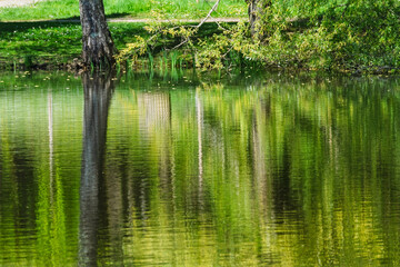 Reflets abstraits sur l’étang au fil de l’eau