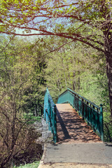 Charmant petit pont sur l’étang de Cessy