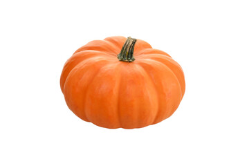 Single Orange Pumpkin with a Short Stem
