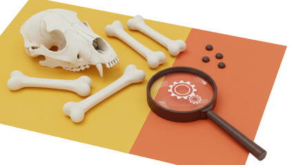 Isolated Dog Skull Bones and Magnifying Glass