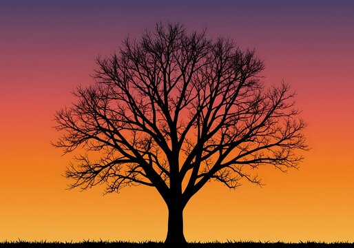 Sunset Silhouette: A Bare Tree's Embrace