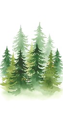 Obraz premium Watercolor Whispers: Emerald Forest