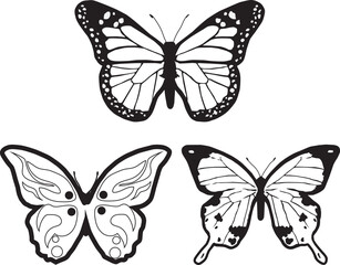 illustration of three elegant butterfly in black and white with different wing patterns
