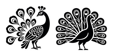 Fototapeta premium Elegant Peacock Silhouette Illustration for Wildlife and Nature Design Themes White Background.