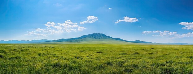 Expansive grassland landscape under a vibrant blue sky. A distant mountain range forms a backdrop to a vast field of tall grass