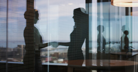 Business people, handshake and silhouette at office, window and congratulations for promotion. HR consultant, employee and shaking hands with deal, welcome or thank you with support at finance agency