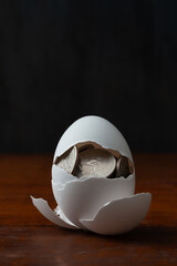 Unique concept of coins inside a broken cracked eggshell on a wooden surface showcasing symbolism of wealth or high cost