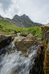 Scenic Mountain Stream Flowing Amid Wildflowers and Rugged Peaks in Swiss mountains