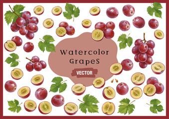 Vector watercolor grapes / 水彩テイストのぶどうイラスト