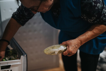An elderly woman is portrayed reaching for frozen vegetables from a refrigerator compartment. This captures a moment of her daily routine, emphasizing independence and home activities.