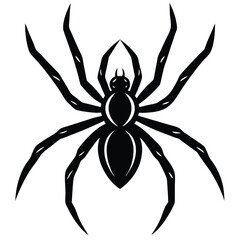 Black spider, a scary insect arachnid symbol, isolated on a white background, perfect for a Halloween or danger vector illustration
