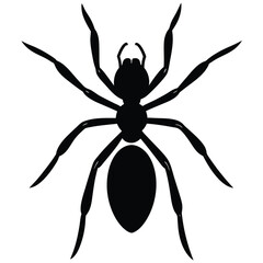 Black spider vector illustration on a white background, ideal for nature, horror, or Halloween designs