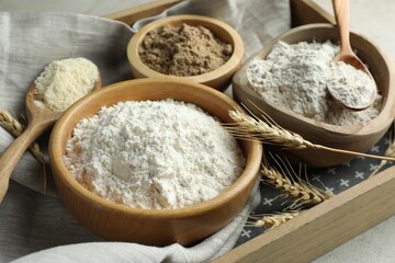 Different types of flour on light grey table, closeup