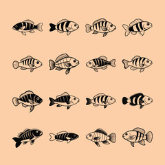 Kribensis Cichlid, aquarium fish line art illustration