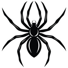 A black spider with an arachnid design on a white background, perfect as a halloween symbol or insect illustration