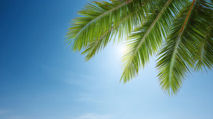 Sunlit palm fronds sway gently, whispering tales of tropical escapades and azure skies, perfect for a serene Ocean Day