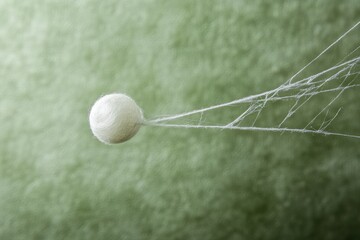 A white silk cocoon hangs delicately from a spider's web against a muted green background.