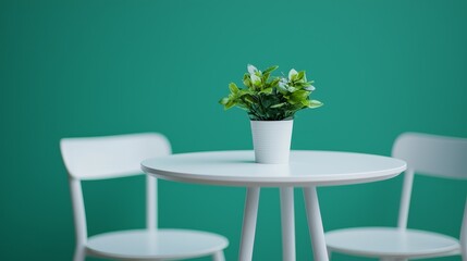 Serene Cafe Ambiance for Interactive Q&A Session with Eco-Friendly Decor and Copy Space,Small cafe natural and environment friendly concept.