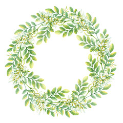 Watercolor white acacia floral wreath PNG with transparent background