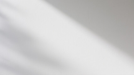 Simple white wall with soft shadow play, minimal texture, clean design