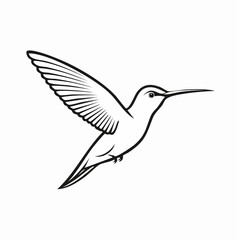 Obraz premium Graceful Hummingbird Outline