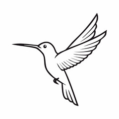 Obraz premium Graceful Hummingbird Outline