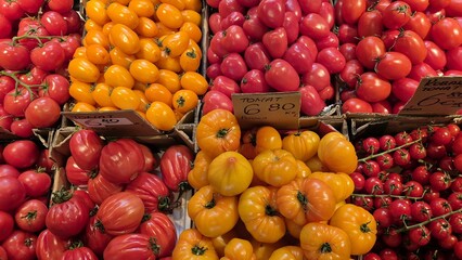 Red and yellow tomatoes of various sizes and shapes displayed in boxes at a farmers market