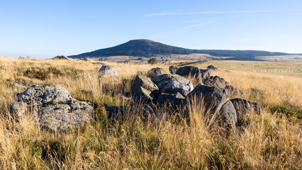 Mont d'Alambre à côté du Mont Mézenc aux Estables en Haute Loire, paysage volcanique en été...