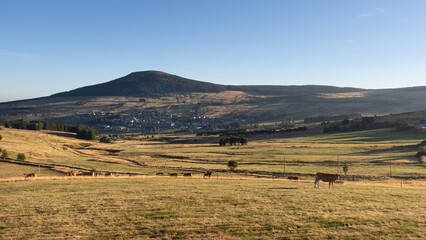 Obraz premium Mont d'Alambre à côté du Mont Mézenc aux Estables en Haute Loire, paysage volcanique en été en France