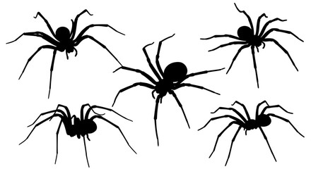 Five Black Spider Silhouettes with Long Legs and Segmented Bodies