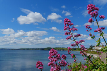 Falmouth in Cornwall