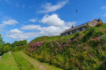 Falmouth in Cornwall