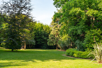 Summer green park scene in Opatija, Croatia, with neatly mowed grass, various tree species, and dense greenery, creating a peaceful natural retreat