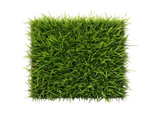 Vibrant Green Grass Texture Lush Meadow Background Image