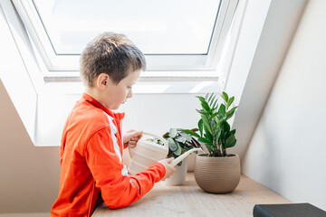 School age boy watering house flowers in flower pots from a watering can