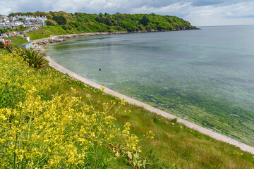 Falmouth und die Landschaft von Cornwall in England