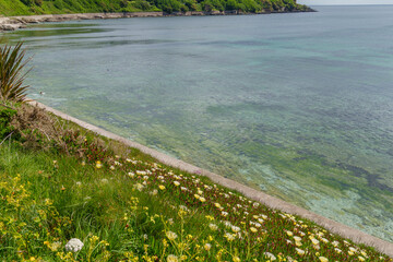 Falmouth und die Landschaft von Cornwall in England