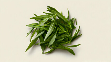 Fototapeta premium Pile Of Fresh Green Tea Leaves