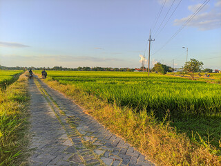 Gravel Road through Countryside at Golden Hour