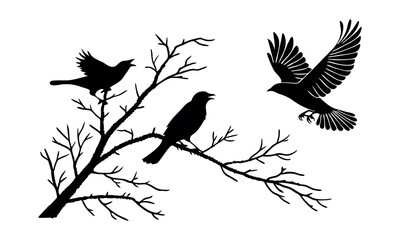 Bird set silhouette vector.