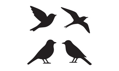 Obraz premium silhouette of a bird