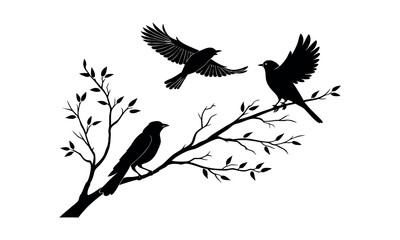 Bird set silhouette vector.